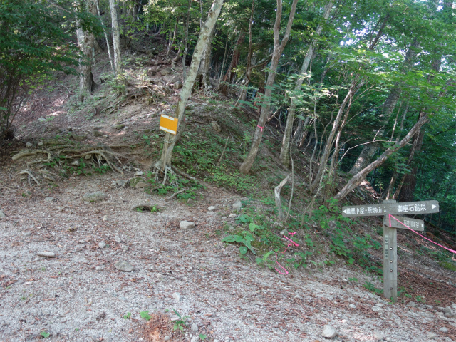 鳳凰三山（御座石鉱泉～燕頭山コース）登山口コースガイド 石空川渓谷分岐【登山口ナビ】