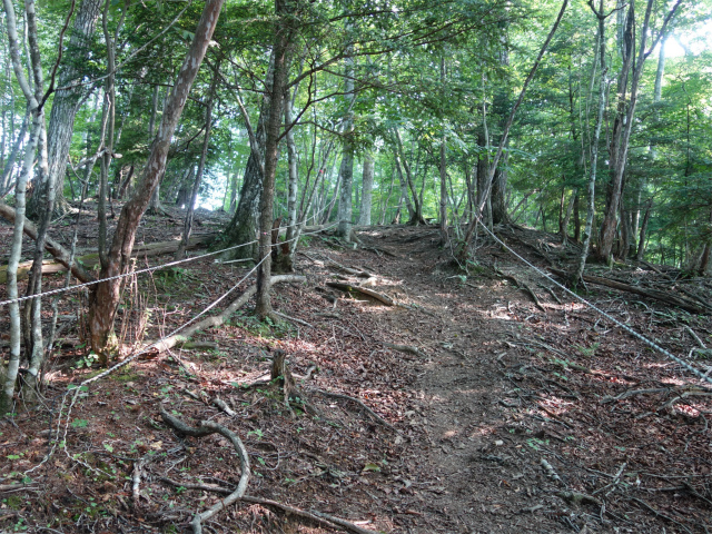 鳳凰三山（御座石鉱泉～燕頭山コース）登山口コースガイド なだらかなピーク【登山口ナビ】