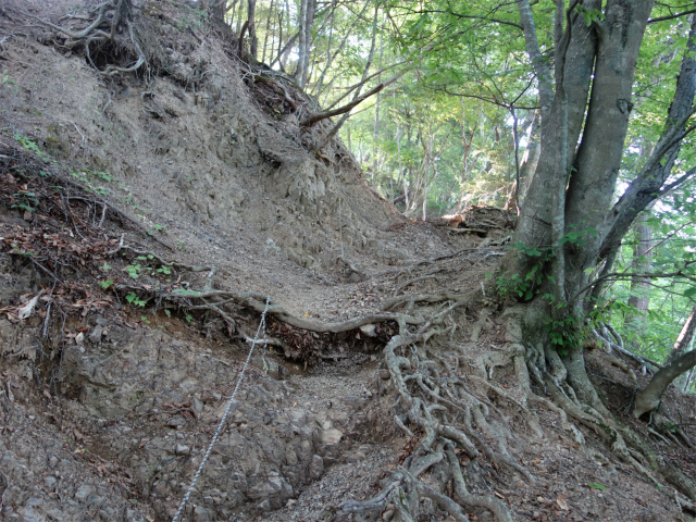 鳳凰三山（御座石鉱泉～燕頭山コース）登山口コースガイド ロープの張られた急登【登山口ナビ】