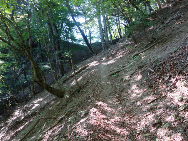 鳳凰三山（御座石鉱泉～燕頭山コース）登山口コースガイド【登山口ナビ】