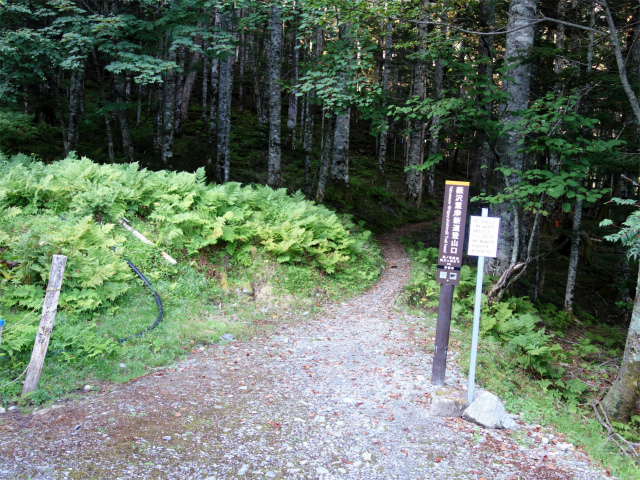 仙丈ヶ岳（藪沢重幸新道）登山口コースガイド 大平山荘奥の登山道入口【登山口ナビ】