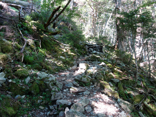 仙丈ヶ岳（藪沢重幸新道）登山口コースガイド 急斜面【登山口ナビ】