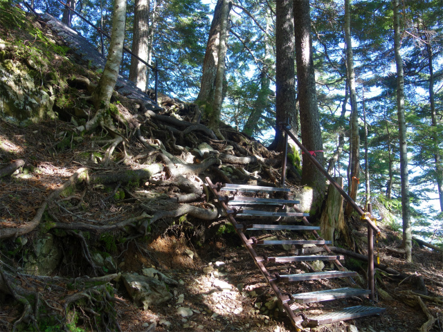 仙丈ヶ岳（藪沢重幸新道）登山口コースガイド 鉄階段【登山口ナビ】