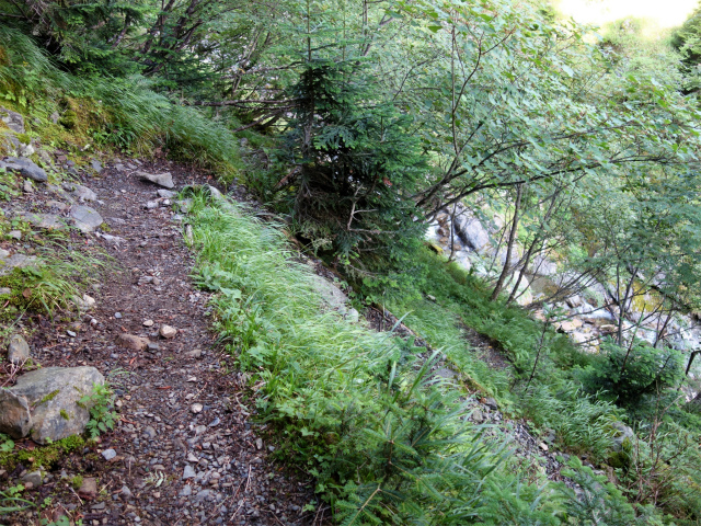 仙丈ヶ岳（藪沢重幸新道）登山口コースガイド トラバース下り【登山口ナビ】