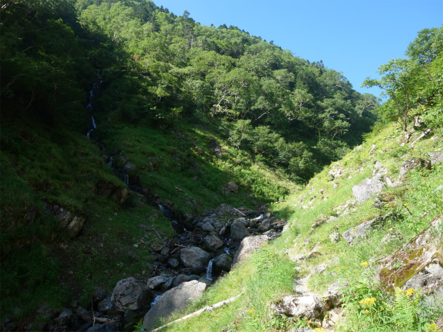 仙丈ヶ岳（藪沢重幸新道）登山口コースガイド 藪沢左岸【登山口ナビ】