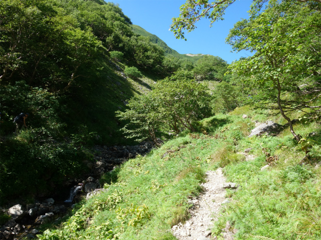 仙丈ヶ岳（藪沢重幸新道）登山口コースガイド 藪沢上流【登山口ナビ】つ、