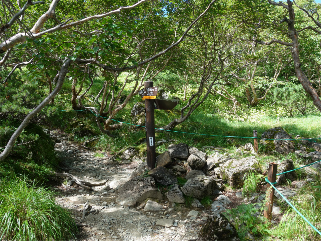 仙丈ヶ岳（藪沢重幸新道）登山口コースガイド 丹渓新道分岐【登山口ナビ】