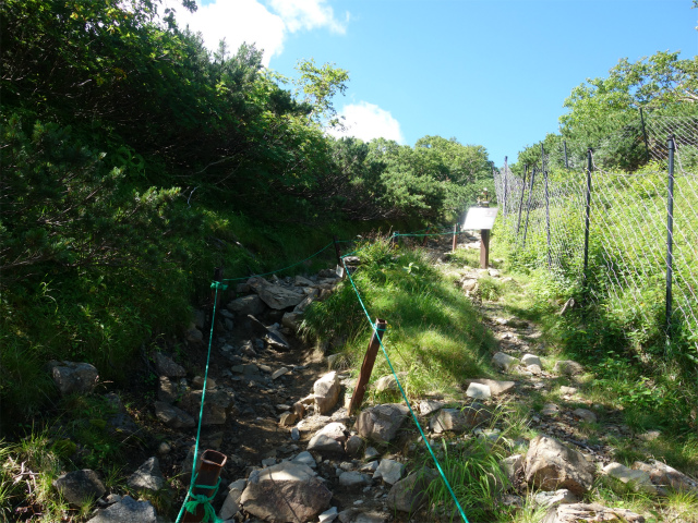 仙丈ヶ岳（藪沢重幸新道）登山口コースガイド 稜線の植生保護柵【登山口ナビ】