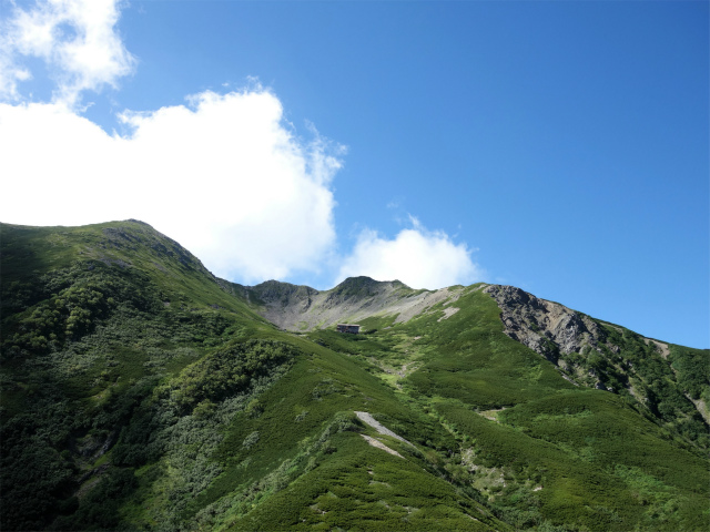 仙丈ヶ岳（藪沢重幸新道）登山口コースガイド【登山口ナビ】