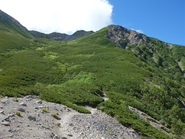 仙丈ヶ岳（藪沢重幸新道）登山口コースガイド 稜線のガレ場【登山口ナビ】