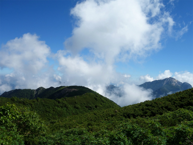 仙丈ヶ岳（藪沢重幸新道）登山口コースガイド 馬ノ背の稜線と甲斐駒ヶ岳【登山口ナビ】