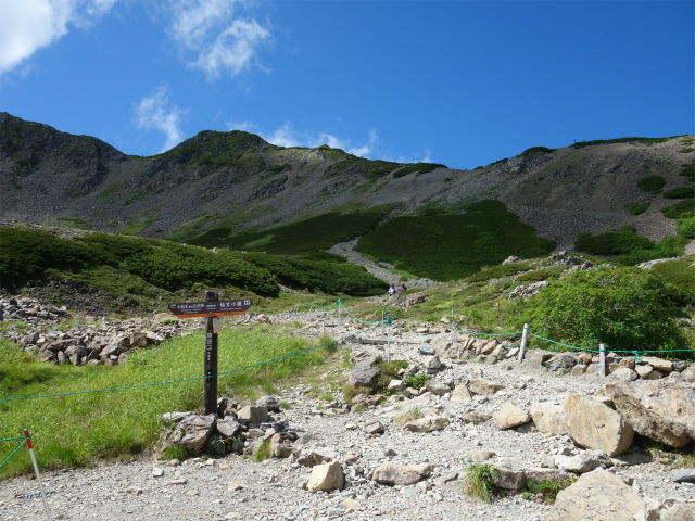 仙丈ヶ岳（藪沢重幸新道）登山口コースガイド 小仙丈ヶ岳分岐【登山口ナビ】