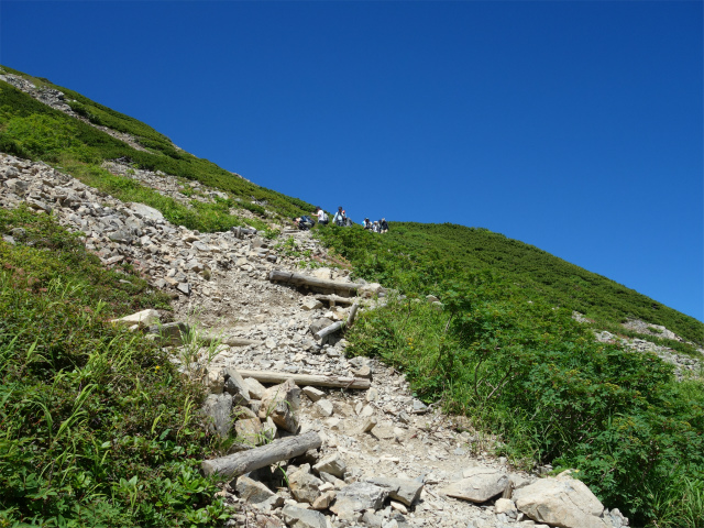 仙丈ヶ岳（藪沢重幸新道）登山口コースガイド 稜線直下の急登【登山口ナビ】