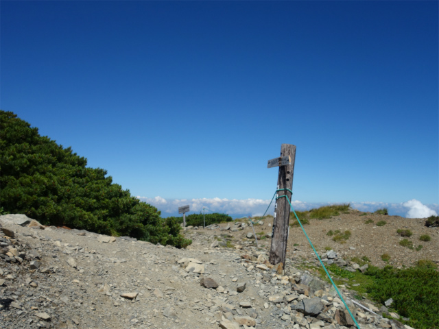 仙丈ヶ岳（藪沢重幸新道）登山口コースガイド 地蔵尾根分岐【登山口ナビ】