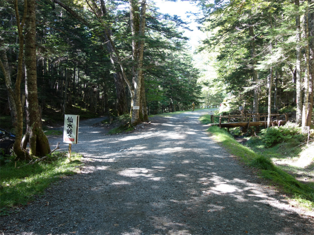 アサヨ峰（北沢峠～栗沢山）登山口コースガイド 南アルプス林道仙水峠分岐【登山口ナビ】