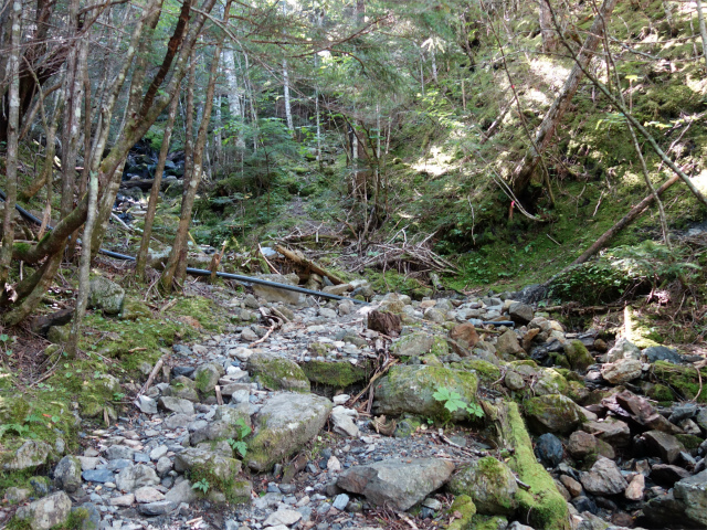 アサヨ峰（北沢峠～栗沢山）登山口コースガイド 沢筋【登山口ナビ】