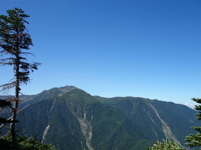 アサヨ峰（北沢峠～栗沢山）登山口コースガイド 仙丈ヶ岳の眺望【登山口ナビ】