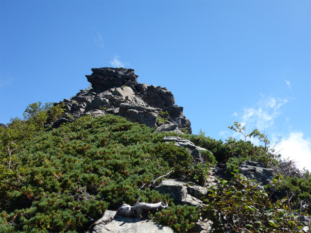 アサヨ峰（北沢峠～栗沢山）登山口コースガイド 森林限界【登山口ナビ】