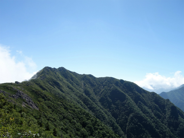 アサヨ峰（北沢峠～栗沢山）登山口コースガイド 稜線【登山口ナビ】