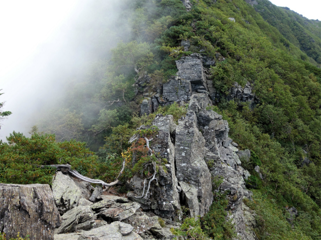 アサヨ峰（北沢峠～栗沢山）登山口コースガイド 狭い岩稜【登山口ナビ】