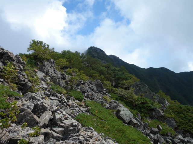 アサヨ峰（北沢峠～栗沢山）登山口コースガイド 鞍部【登山口ナビ】