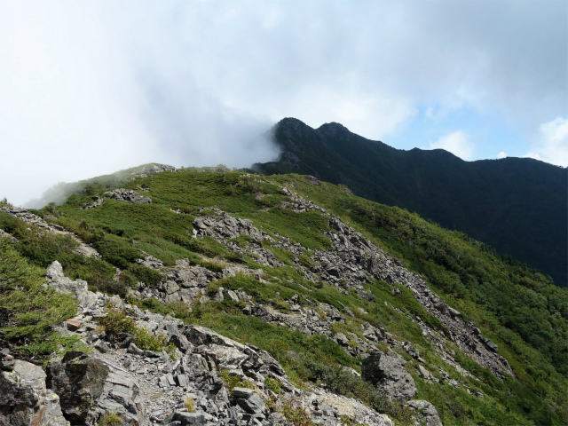 アサヨ峰（北沢峠～栗沢山）登山口コースガイド 稜線の下り【登山口ナビ】