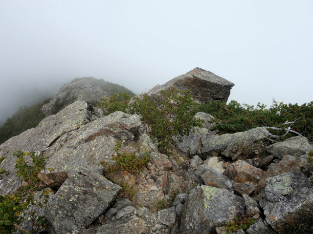 アサヨ峰（北沢峠～栗沢山）登山口コースガイド 栗沢山山頂直下【登山口ナビ】