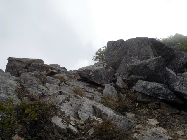 アサヨ峰（北沢峠～栗沢山）登山口コースガイド 露岩の急斜面【登山口ナビ】