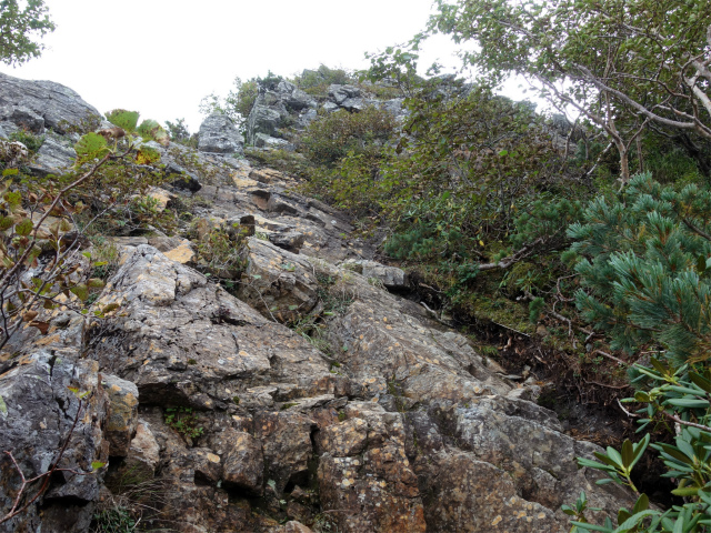 アサヨ峰（北沢峠～栗沢山）登山口コースガイド 急斜面【登山口ナビ】