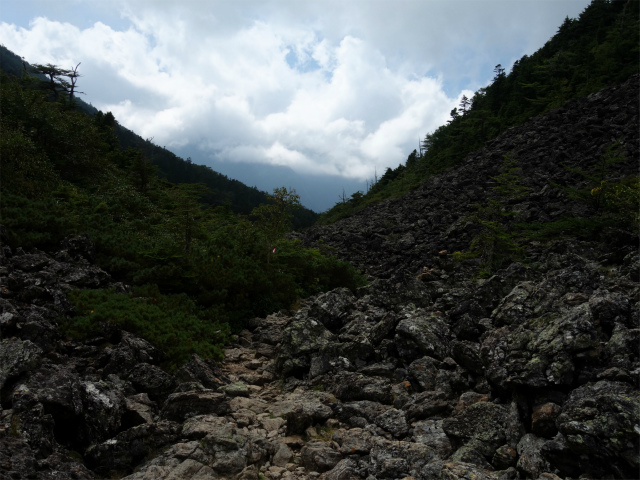 アサヨ峰（北沢峠～栗沢山）登山口コースガイド ゴーロ【登山口ナビ】