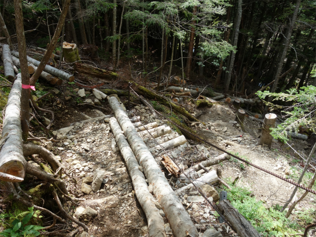 アサヨ峰（北沢峠～栗沢山）登山口コースガイド 仙水小屋直下の急斜面【登山口ナビ】