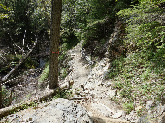 アサヨ峰（北沢峠～栗沢山）登山口コースガイド 鎖【登山口ナビ】