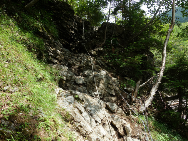 アサヨ峰（北沢峠～栗沢山）登山口コースガイド ロープ【登山口ナビ】