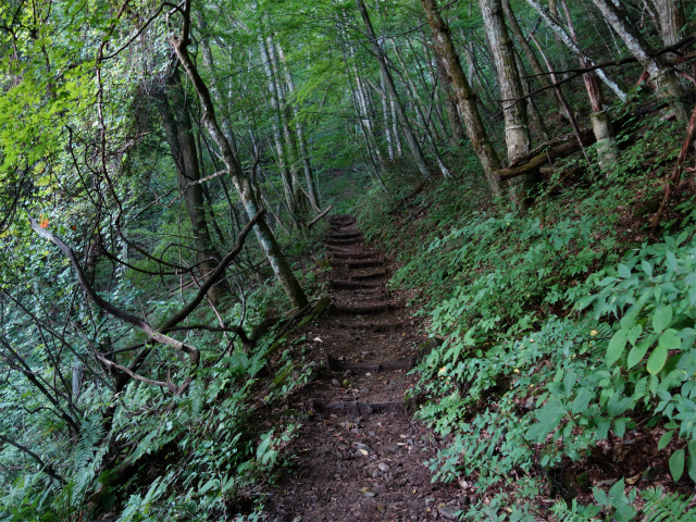 空木岳（池山尾根ルート）登山口コースガイド【登山口ナビ】