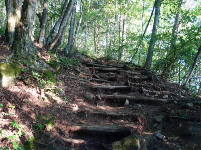 空木岳（池山尾根ルート）登山口コースガイド 階段【登山口ナビ】