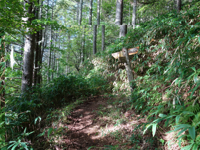 空木岳（池山尾根ルート）登山口コースガイド 廃道分岐【登山口ナビ】