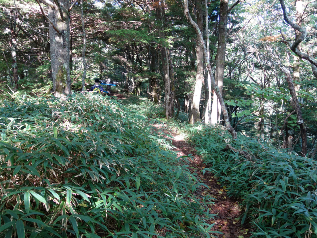 空木岳（池山尾根ルート）登山口コースガイド 池山小屋分岐【登山口ナビ】