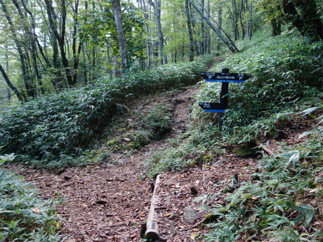 空木岳（池山尾根ルート）登山口コースガイド 池山小屋分岐【登山口ナビ】