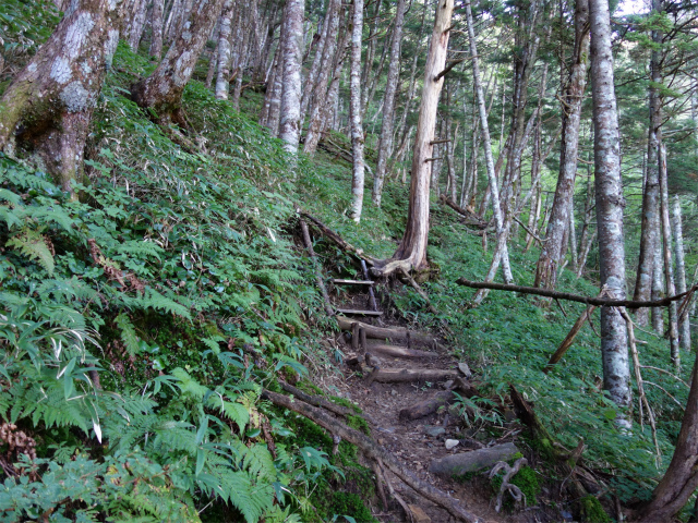 空木岳（池山尾根ルート）登山口コースガイド【登山口ナビ】