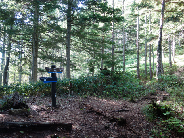 空木岳（池山尾根ルート）登山口コースガイド 尻無【登山口ナビ】