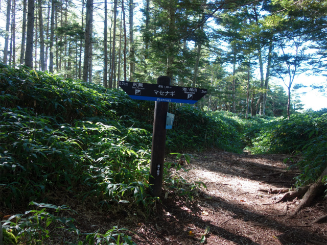 空木岳（池山尾根ルート）登山口コースガイド マセナギ【登山口ナビ】