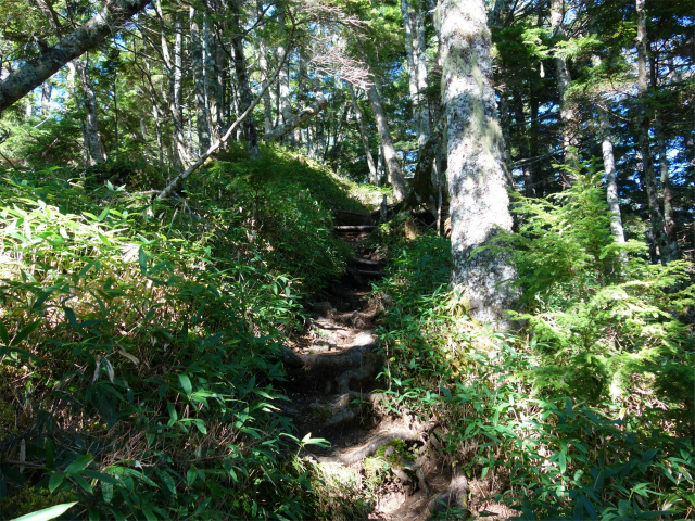 空木岳（池山尾根ルート）登山口コースガイド【登山口ナビ】