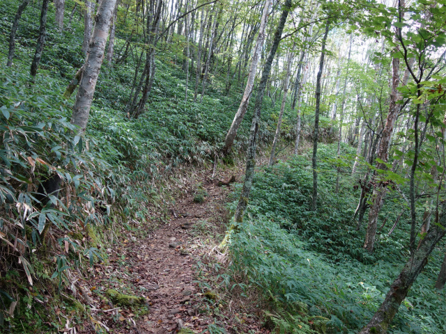 空木岳（池山尾根ルート）登山口コースガイド 遊歩道【登山口ナビ】