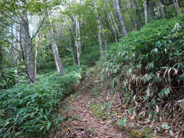 空木岳（池山尾根ルート）登山口コースガイド 遊歩道【登山口ナビ】