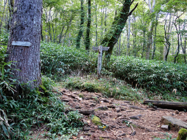 空木岳（池山尾根ルート）登山口コースガイド 池山分岐【登山口ナビ】