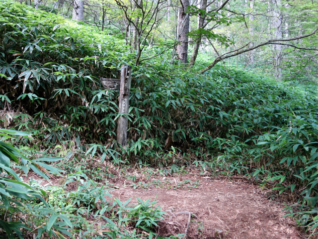 空木岳（池山尾根ルート）登山口コースガイド 廃道分岐【登山口ナビ】