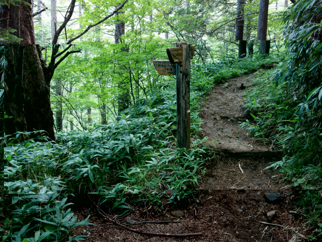 空木岳（池山尾根ルート）登山口コースガイド 旧池山小屋分岐【登山口ナビ】