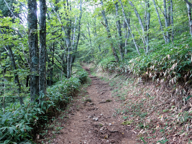 空木岳（池山尾根ルート）登山口コースガイド なだらかな巻き道【登山口ナビ】