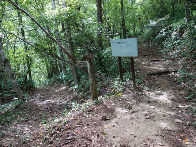 空木岳（池山尾根ルート）登山口コースガイド 篭ヶ沢の岩窟入口【登山口ナビ】