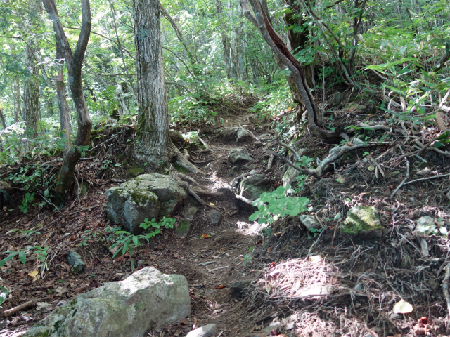 空木岳（池山尾根ルート）登山口コースガイド 急登【登山口ナビ】